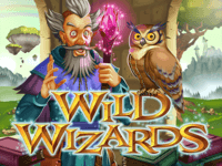 Wild Wizards slot machine