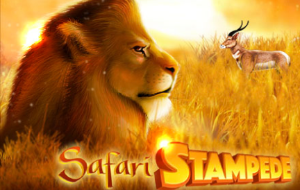 Safari Stampede game