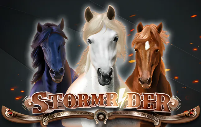 Storm Rider game