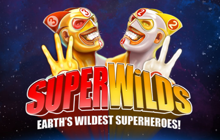 Super Wilds game
