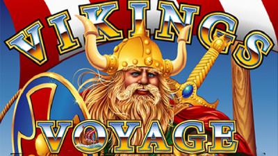 Viking's Voyage